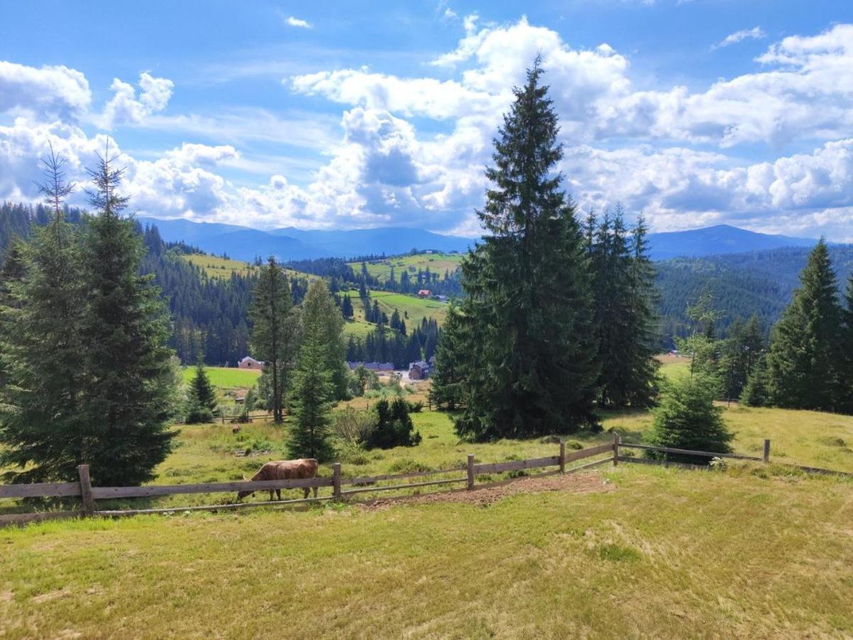 Lidia Chalets Паляниця Екстер'єр фото