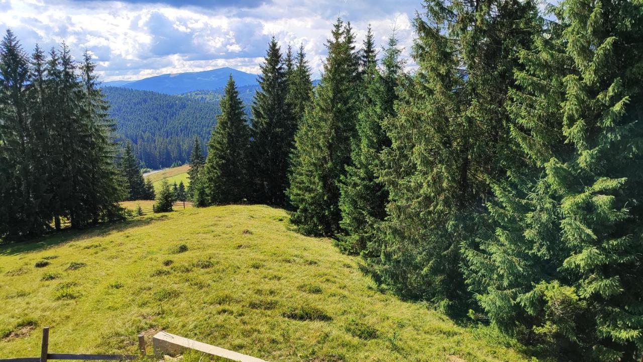 Lidia Chalets Паляниця Екстер'єр фото